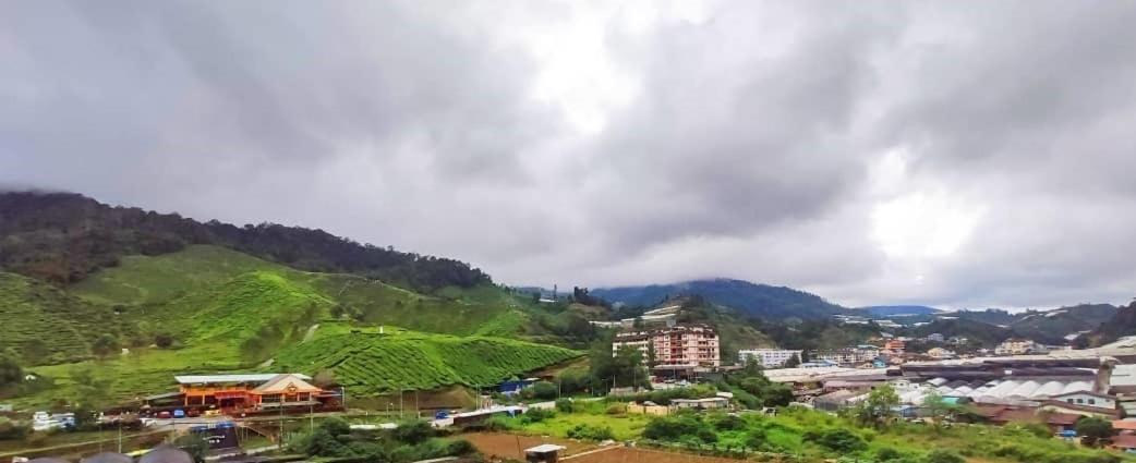 Gorgeous Sunset & Tea Plantation View-Premium Hotel Bed Kampung Kuala Terla Екстериор снимка