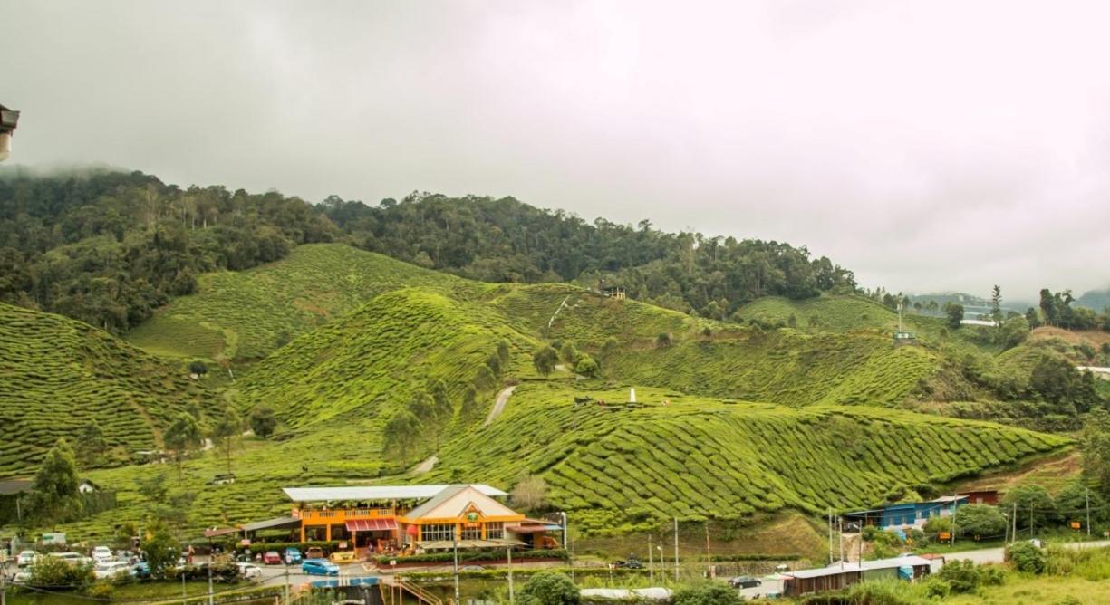 Gorgeous Sunset & Tea Plantation View-Premium Hotel Bed Kampung Kuala Terla Екстериор снимка